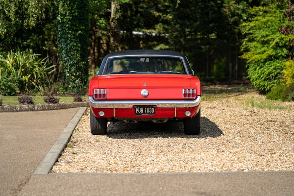 Used Ford Mustang 1966 for sale - 72705391: Photo 9