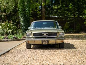 Used Ford Mustang 1966 for sale - 74589536: Photo