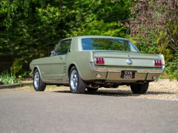 Used Ford Mustang 1966 for sale - 74589536: Photo