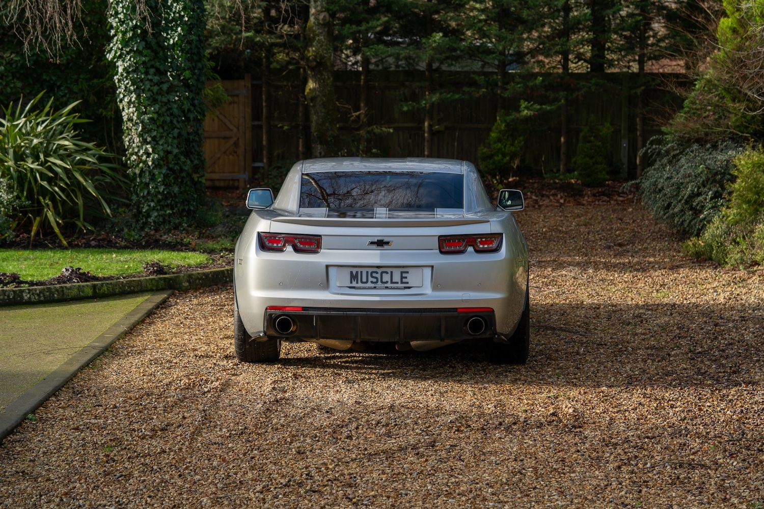 Used Chevrolet Camaro 2014 for sale - 76987007: Photo 6