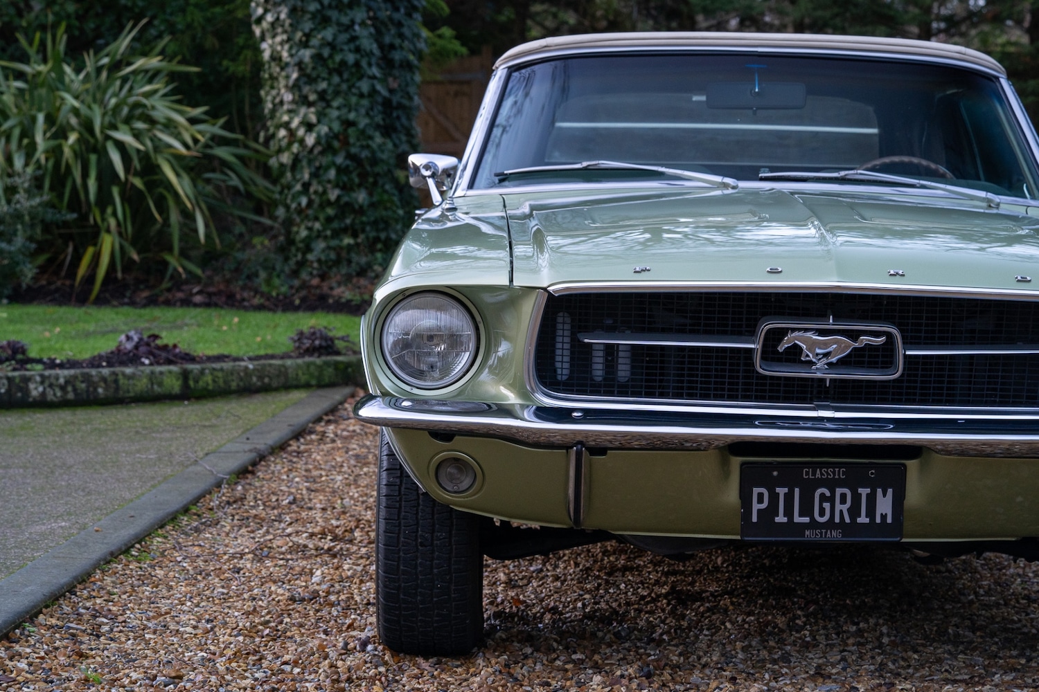 Used Ford Mustang 2014 for sale - 76985141: Photo 33