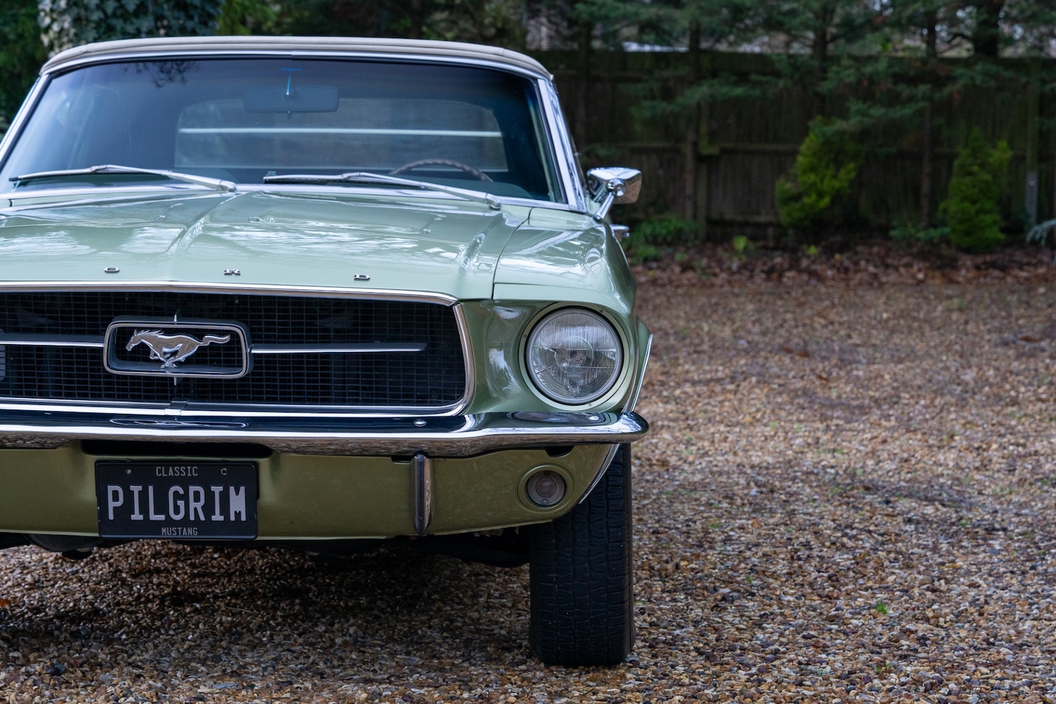 Used Ford Mustang 2014 for sale - 76985141: Photo 35