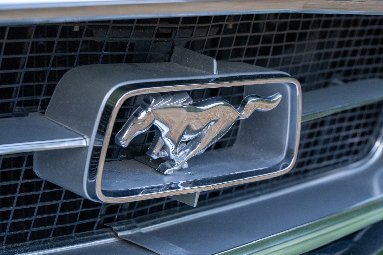 Used Ford Mustang 2014 for sale - 76985141: Photo 36