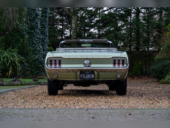 Used Ford Mustang 1967 for sale - 76985141: Photo