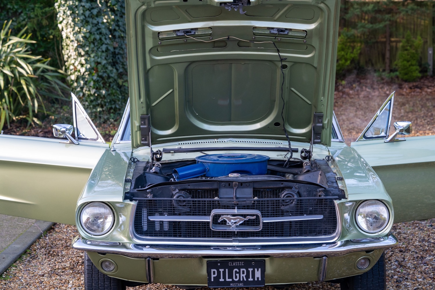 Used Ford Mustang 2014 for sale - 76985141: Photo 55