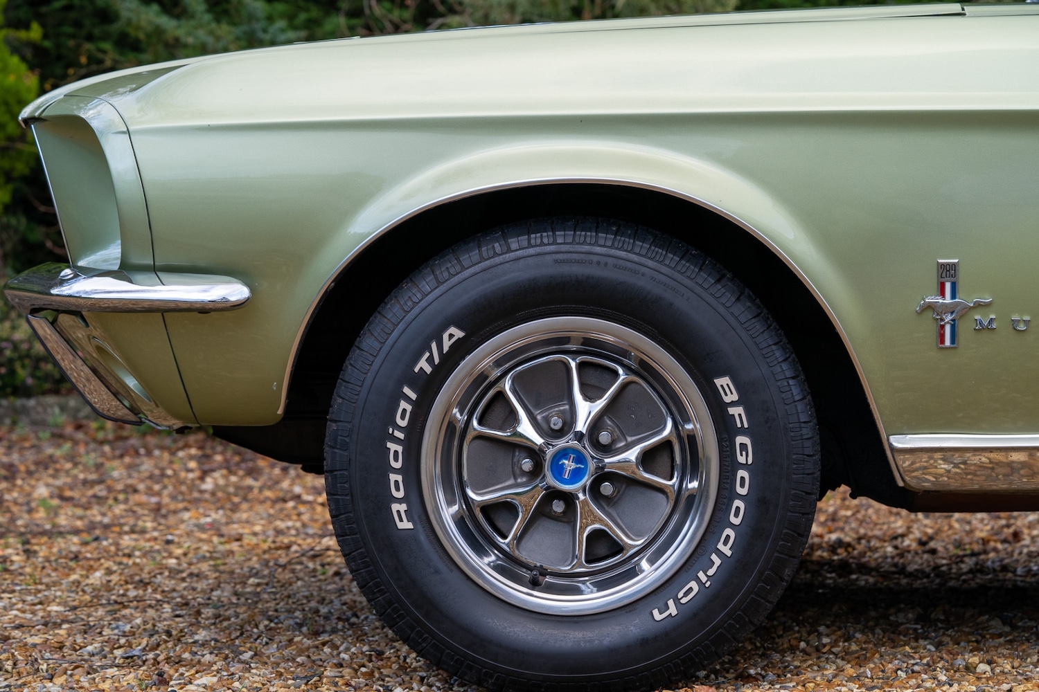 Used Ford Mustang 2014 for sale - 76985141: Photo 65