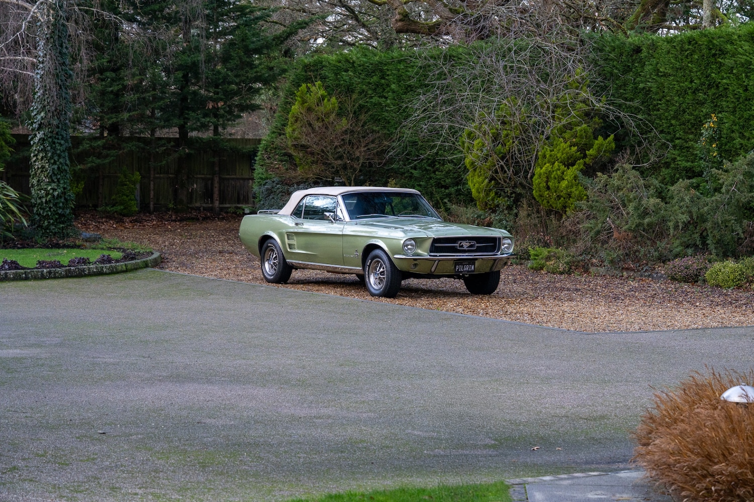 Used Ford Mustang 2014 for sale - 76985141: Photo 75
