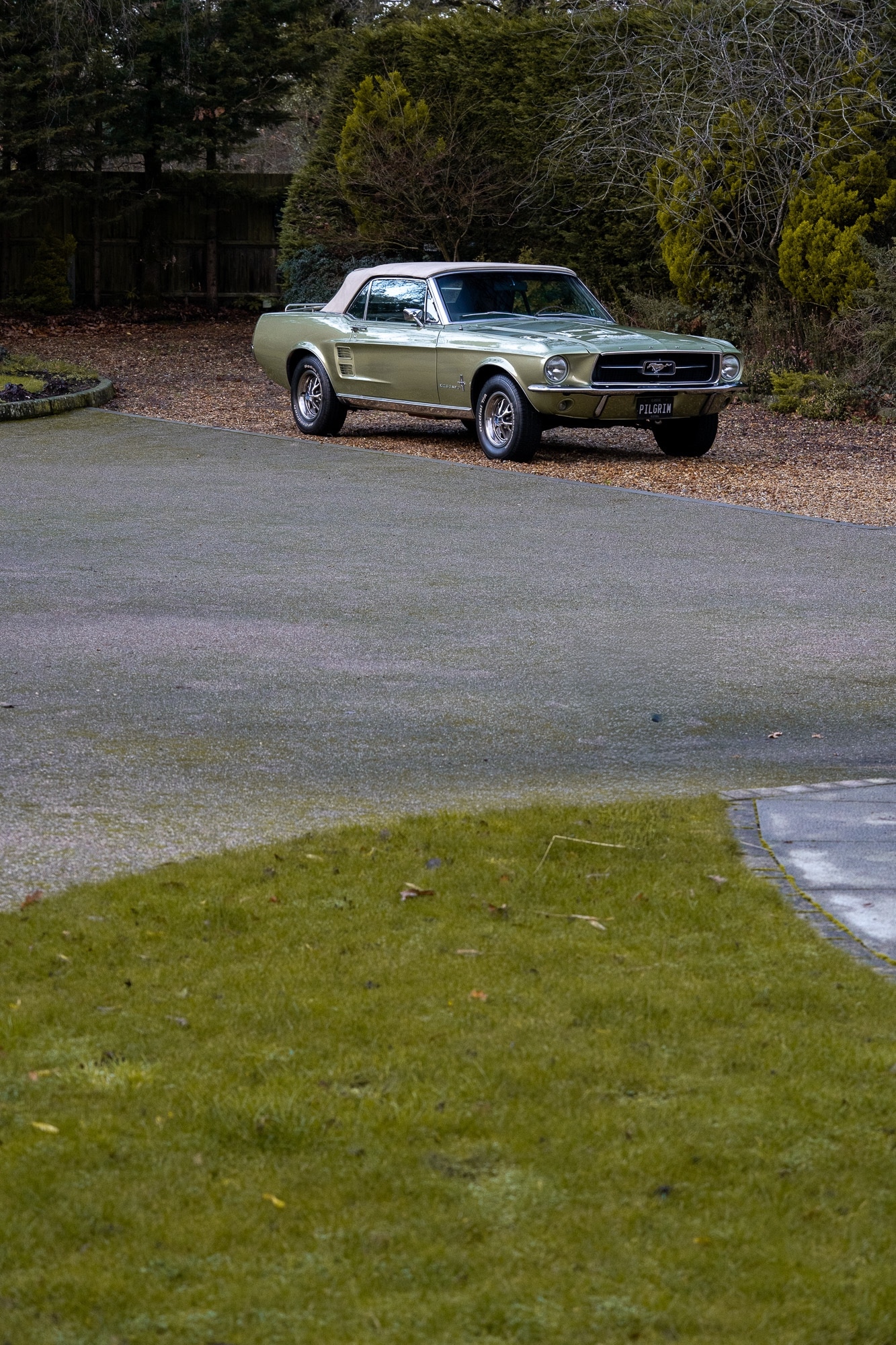 Used Ford Mustang 2014 for sale - 76985141: Photo 76