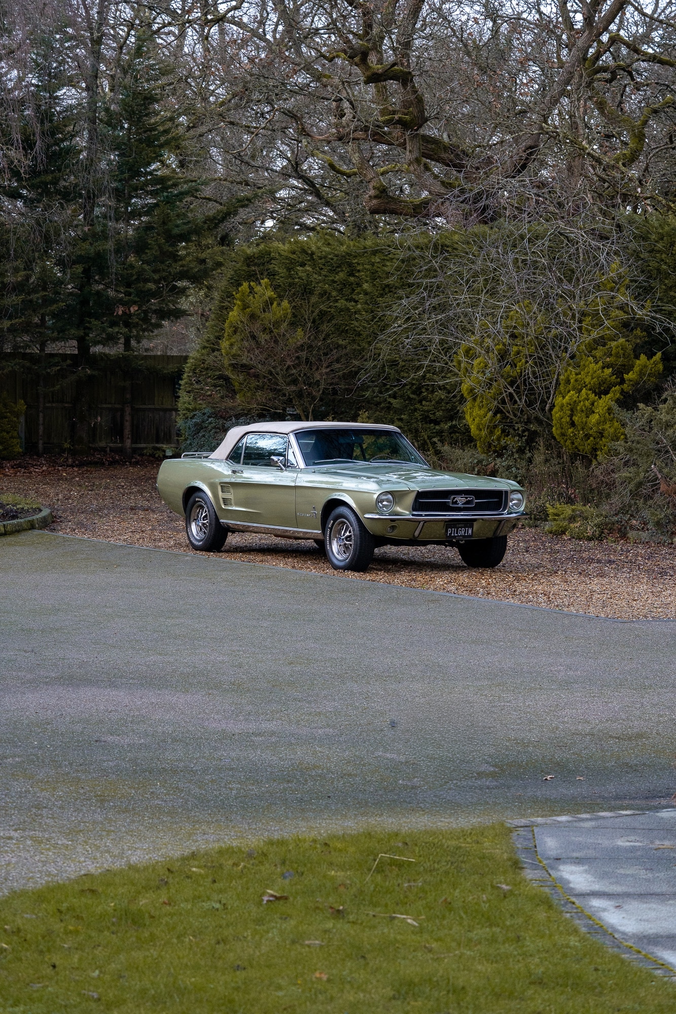 Used Ford Mustang 2014 for sale - 76985141: Photo 78
