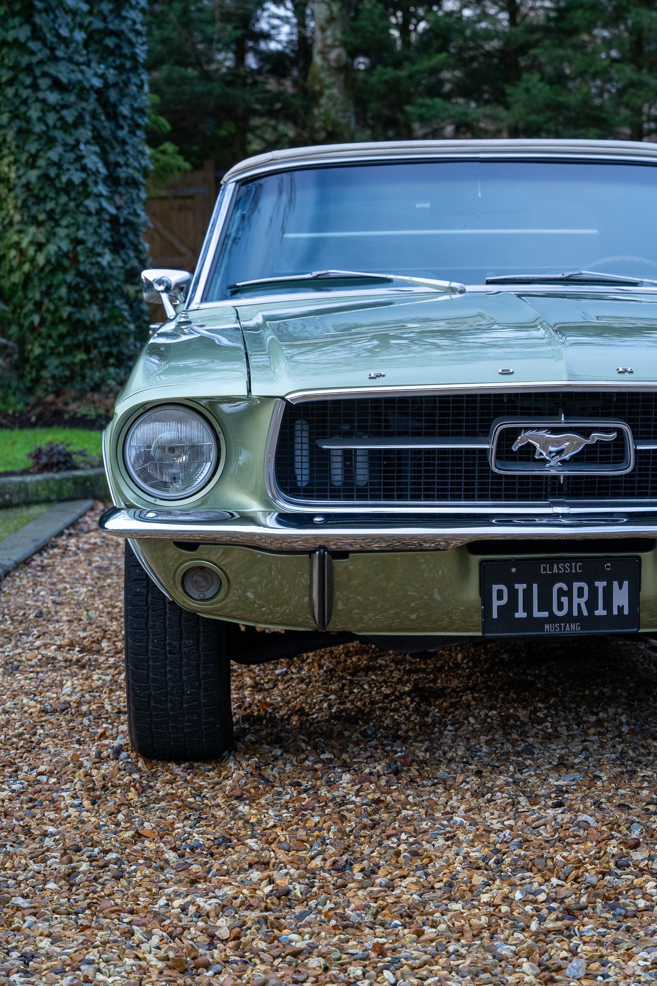 Used Ford Mustang 2014 for sale - 76985141: Photo 79