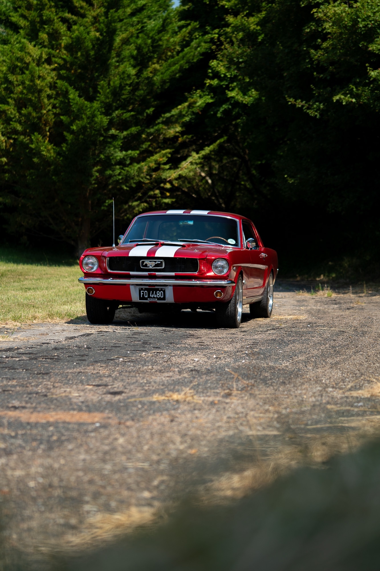 Used Ford Mustang 1966 for sale - 77026220: Photo 100