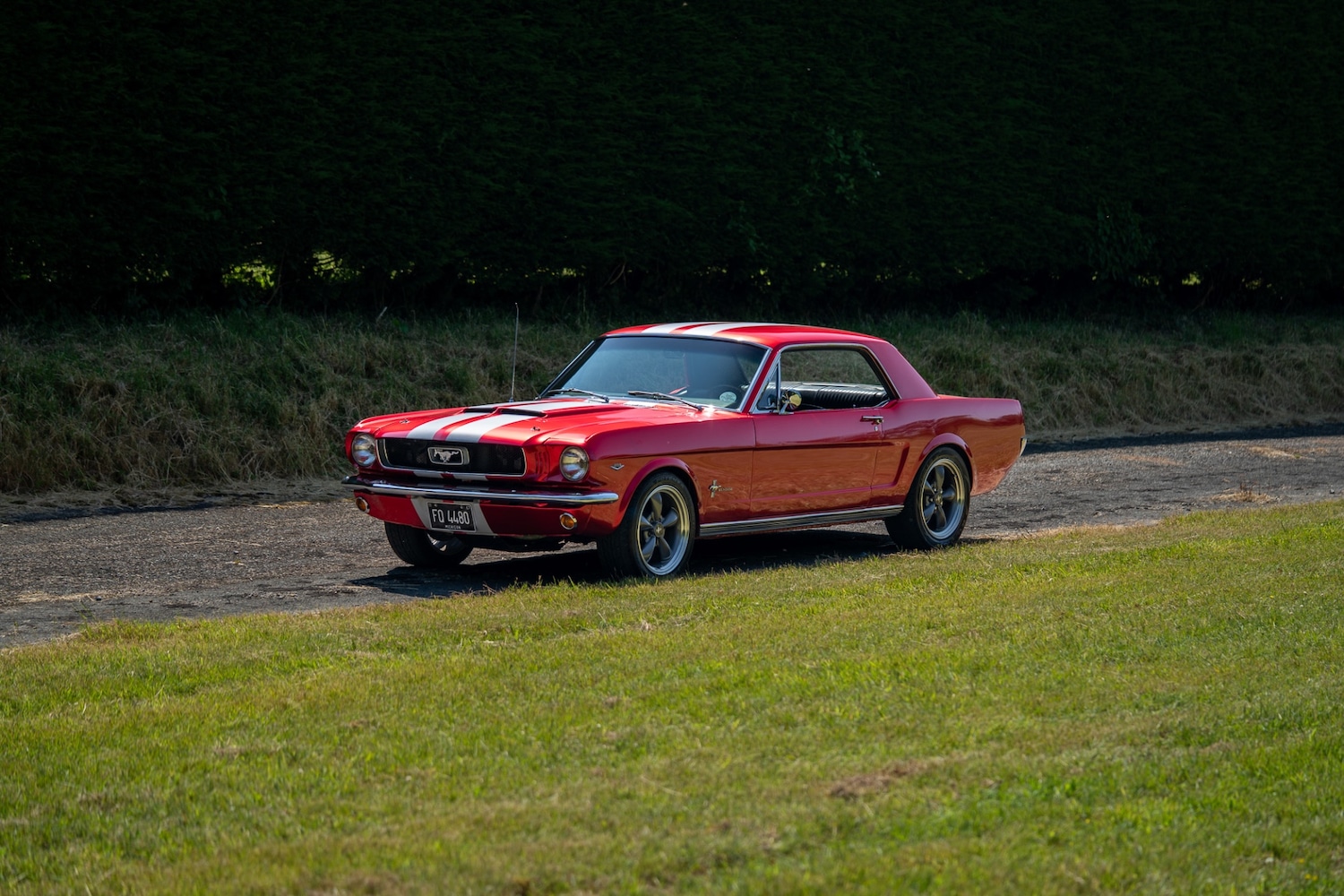 Used Ford Mustang 1966 for sale - 77026220: Photo 14