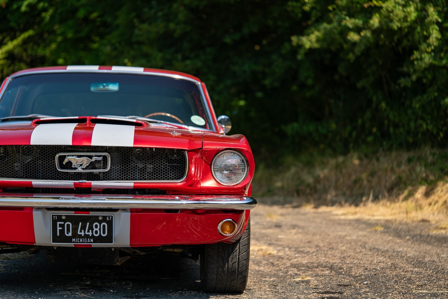 Used Ford Mustang 1966 for sale - 77026220: Photo 15