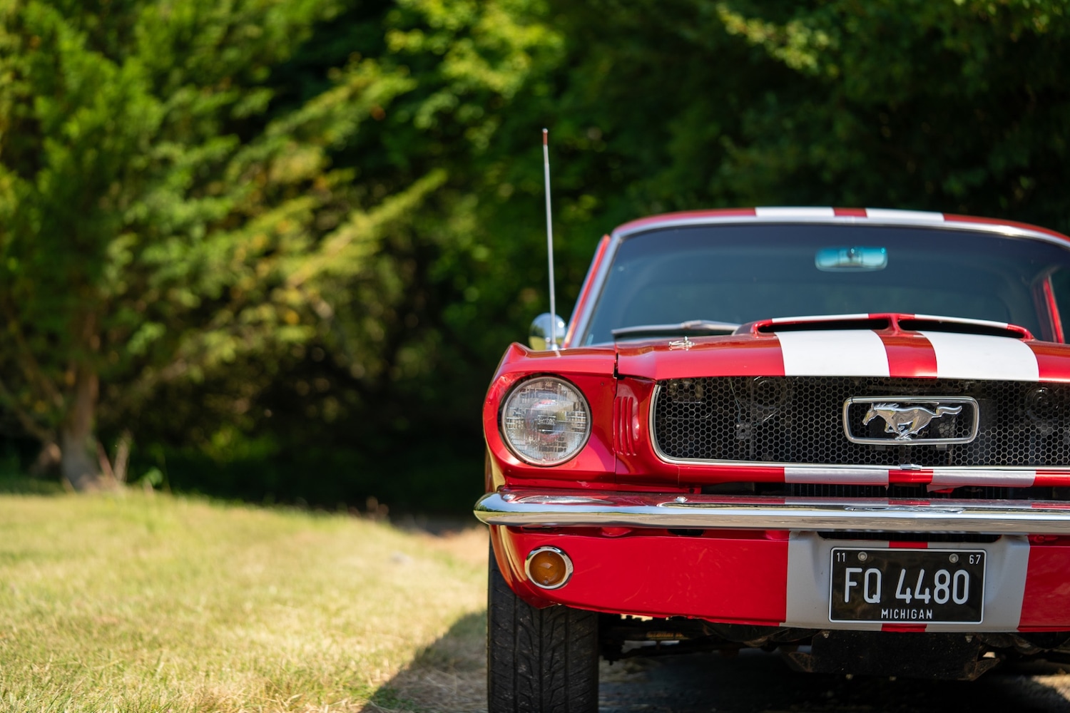 Used Ford Mustang 1966 for sale - 77026220: Photo 16