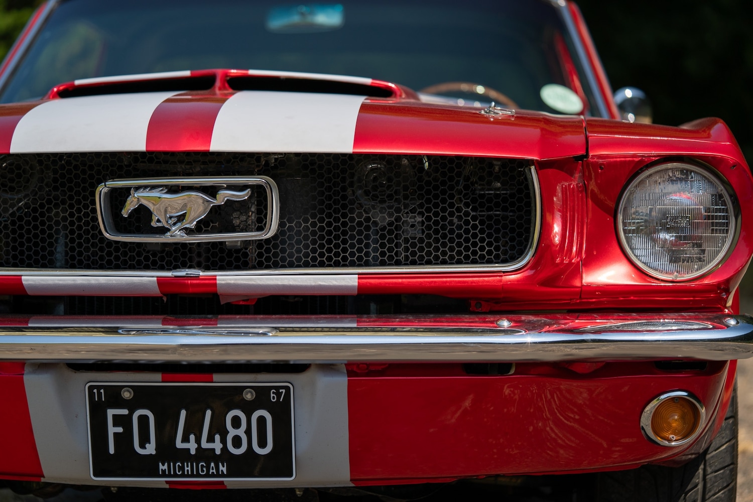 Used Ford Mustang 1966 for sale - 77026220: Photo 17