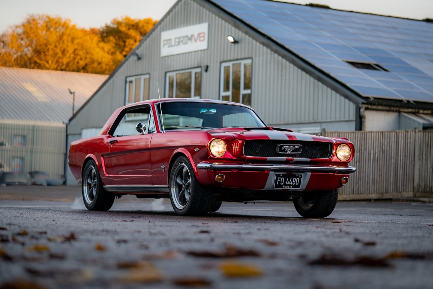 Used Ford Mustang 1966 for sale - 77026220: Photo 2