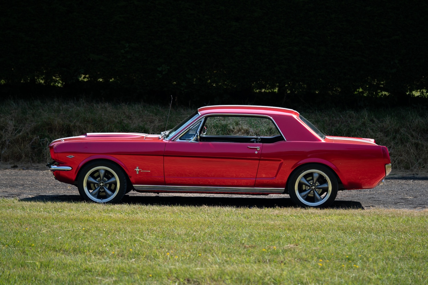 Used Ford Mustang 1966 for sale - 77026220: Photo 21