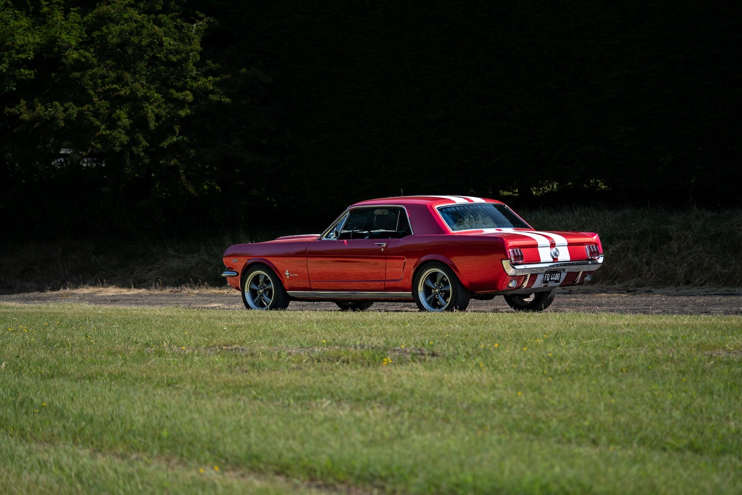 Used Ford Mustang 1966 for sale - 77026220: Photo 23