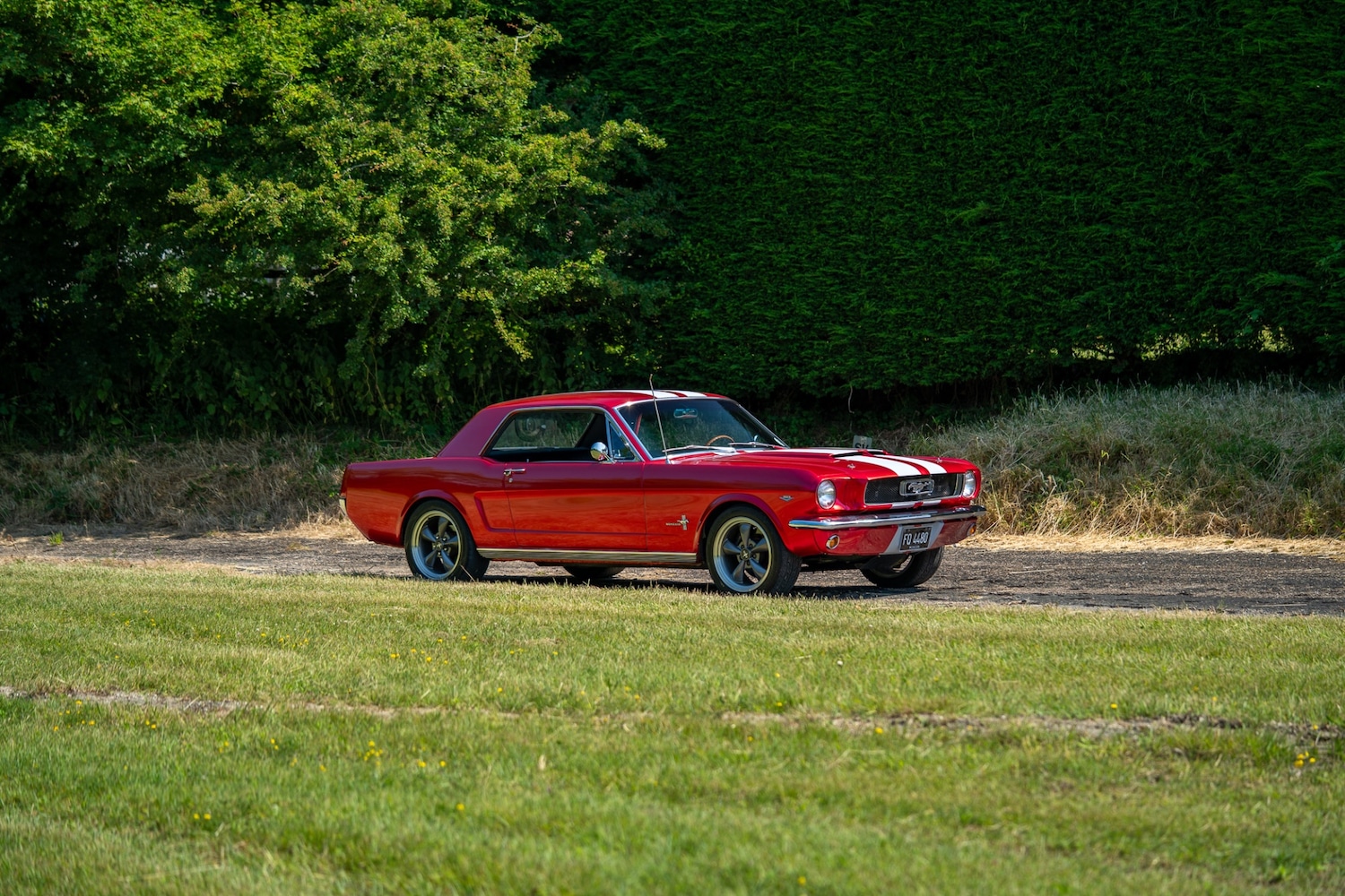 Used Ford Mustang 1966 for sale - 77026220: Photo 25