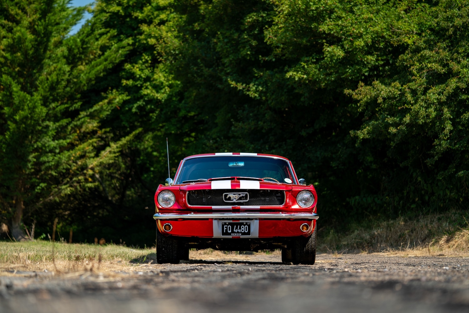 Used Ford Mustang 1966 for sale - 77026220: Photo 26