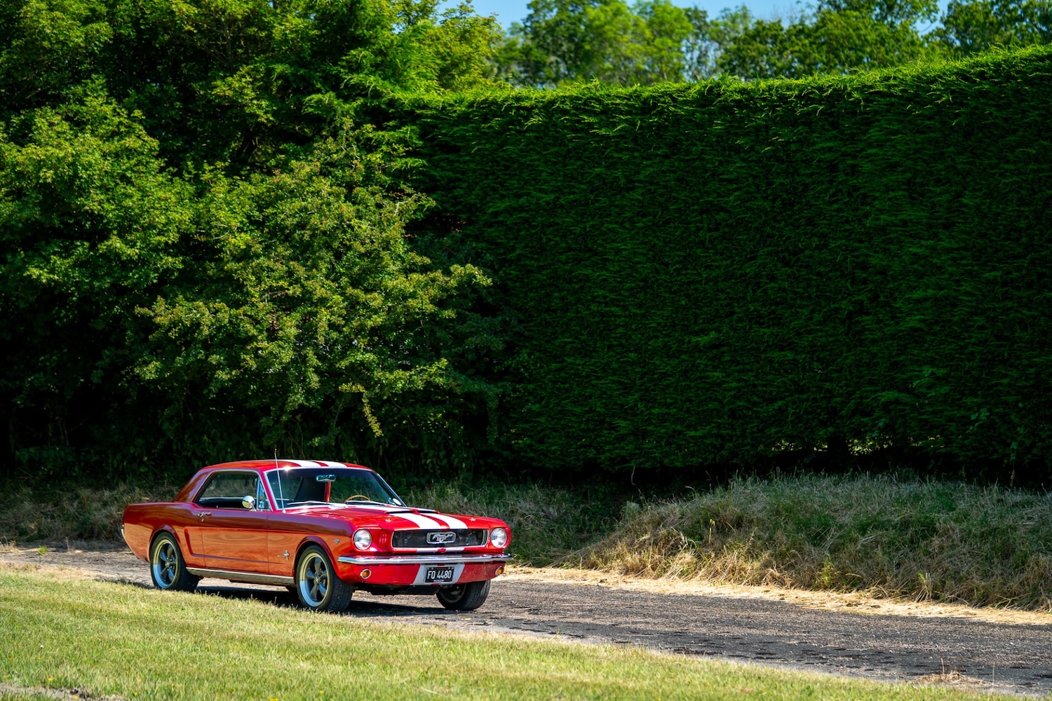 Used Ford Mustang 1966 for sale - 77026220: Photo 27