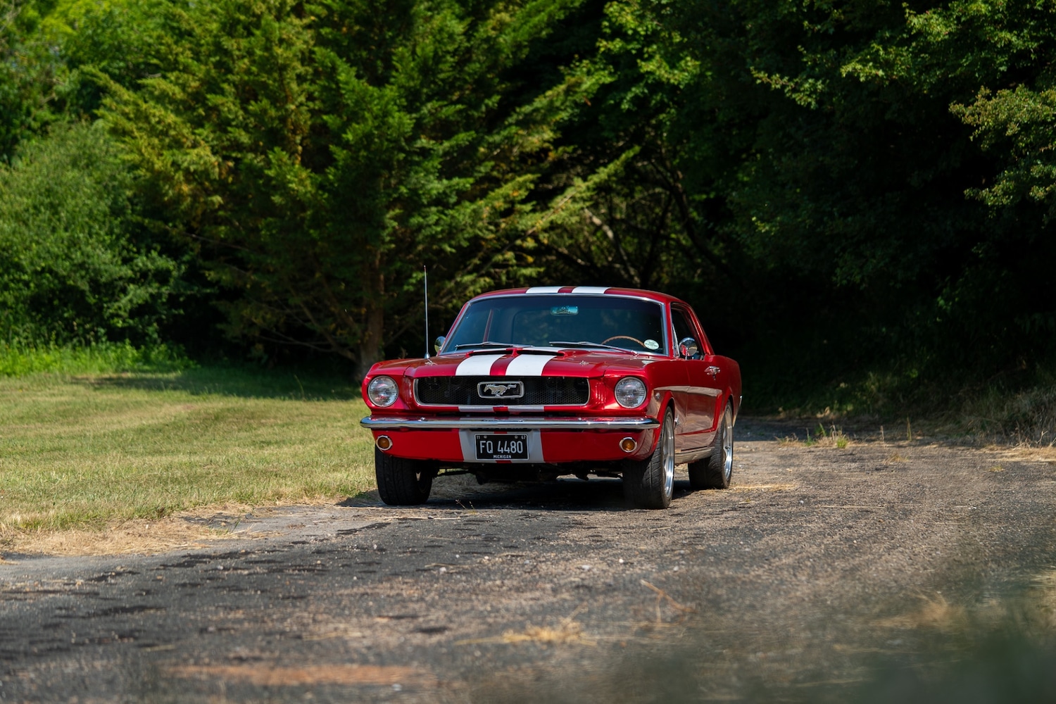 Used Ford Mustang 1966 for sale - 77026220: Photo 29