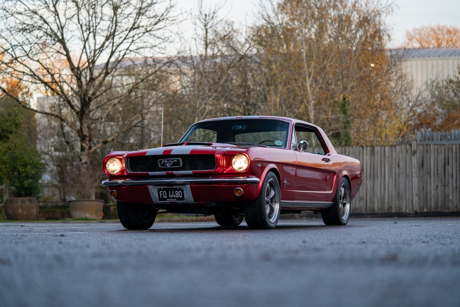 Used Ford Mustang 1966 for sale - 77026220: Photo 3