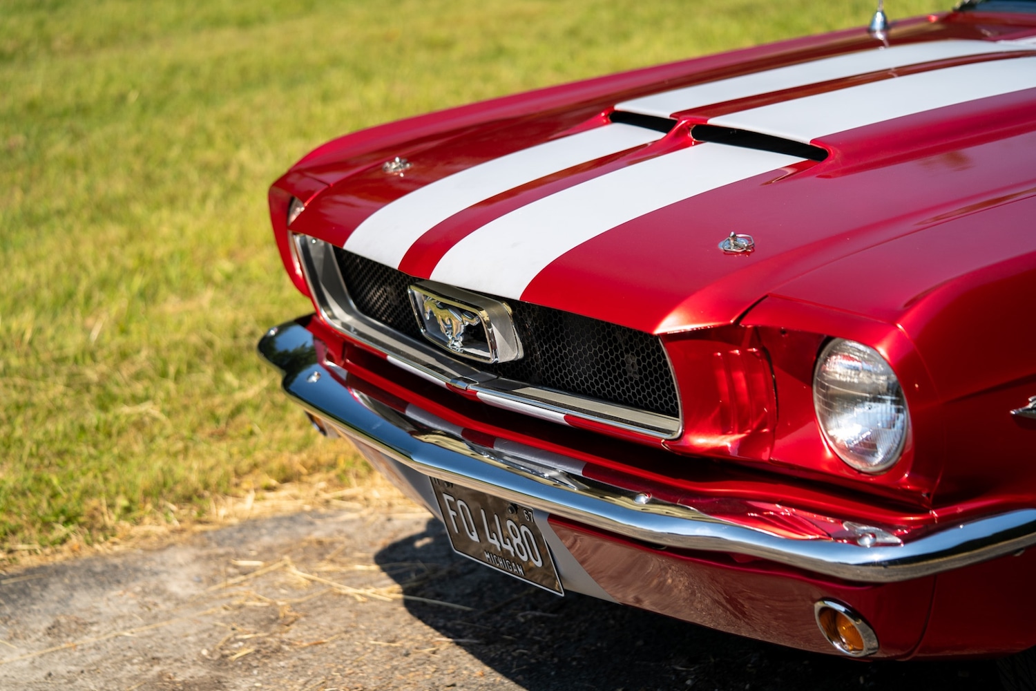 Used Ford Mustang 1966 for sale - 77026220: Photo 30