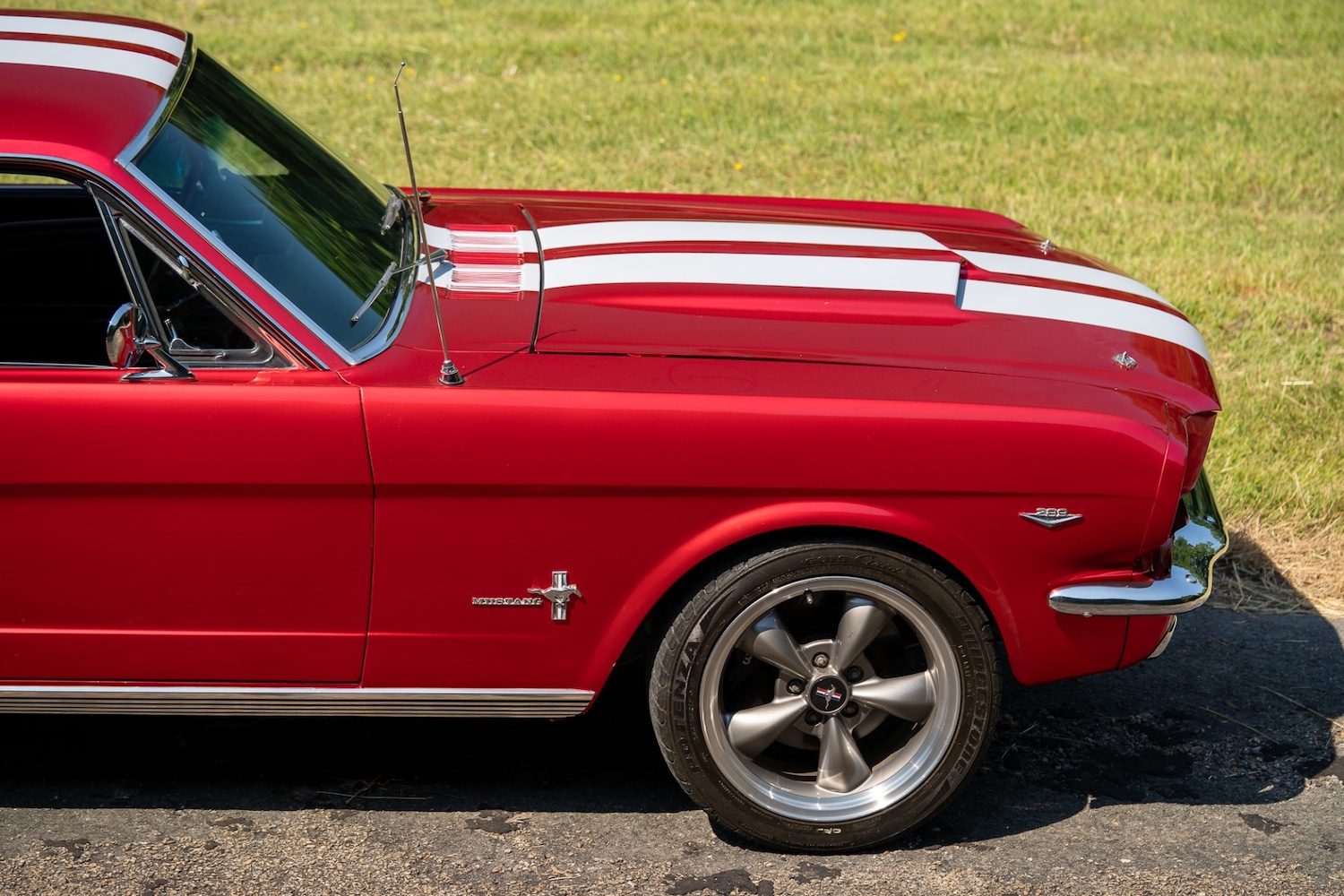 Used Ford Mustang 1966 for sale - 77026220: Photo 32