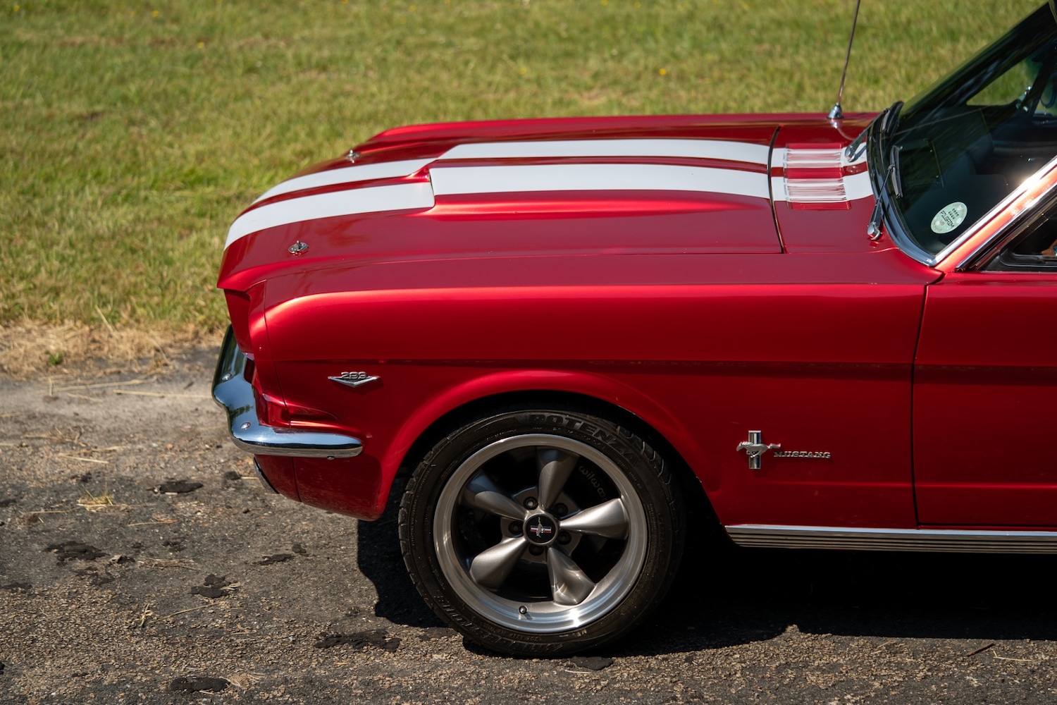 Used Ford Mustang 1966 for sale - 77026220: Photo 33