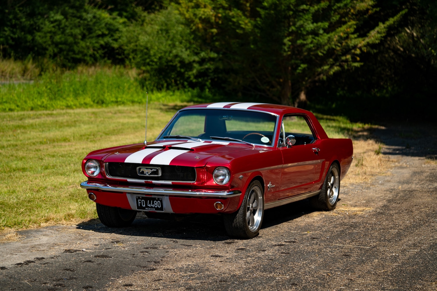 Used Ford Mustang 1966 for sale - 77026220: Photo 35