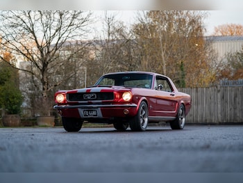 Used Ford Mustang 1966 for sale - 77026220: Photo
