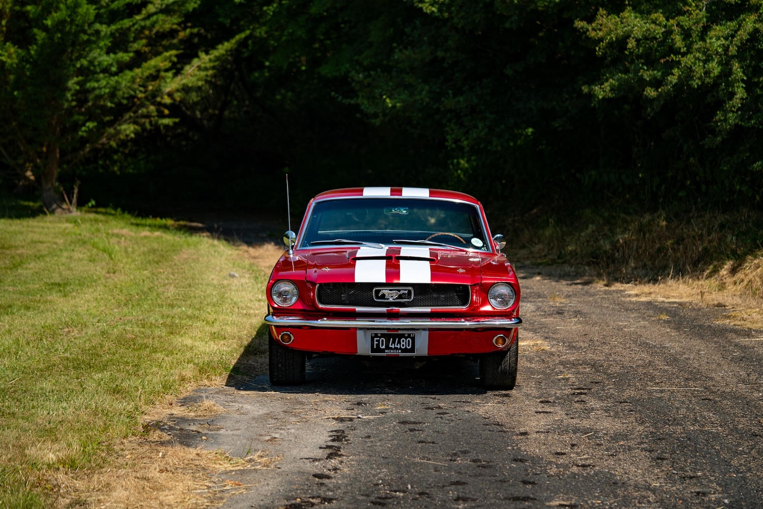 Used Ford Mustang 1966 for sale - 77026220: Photo 4