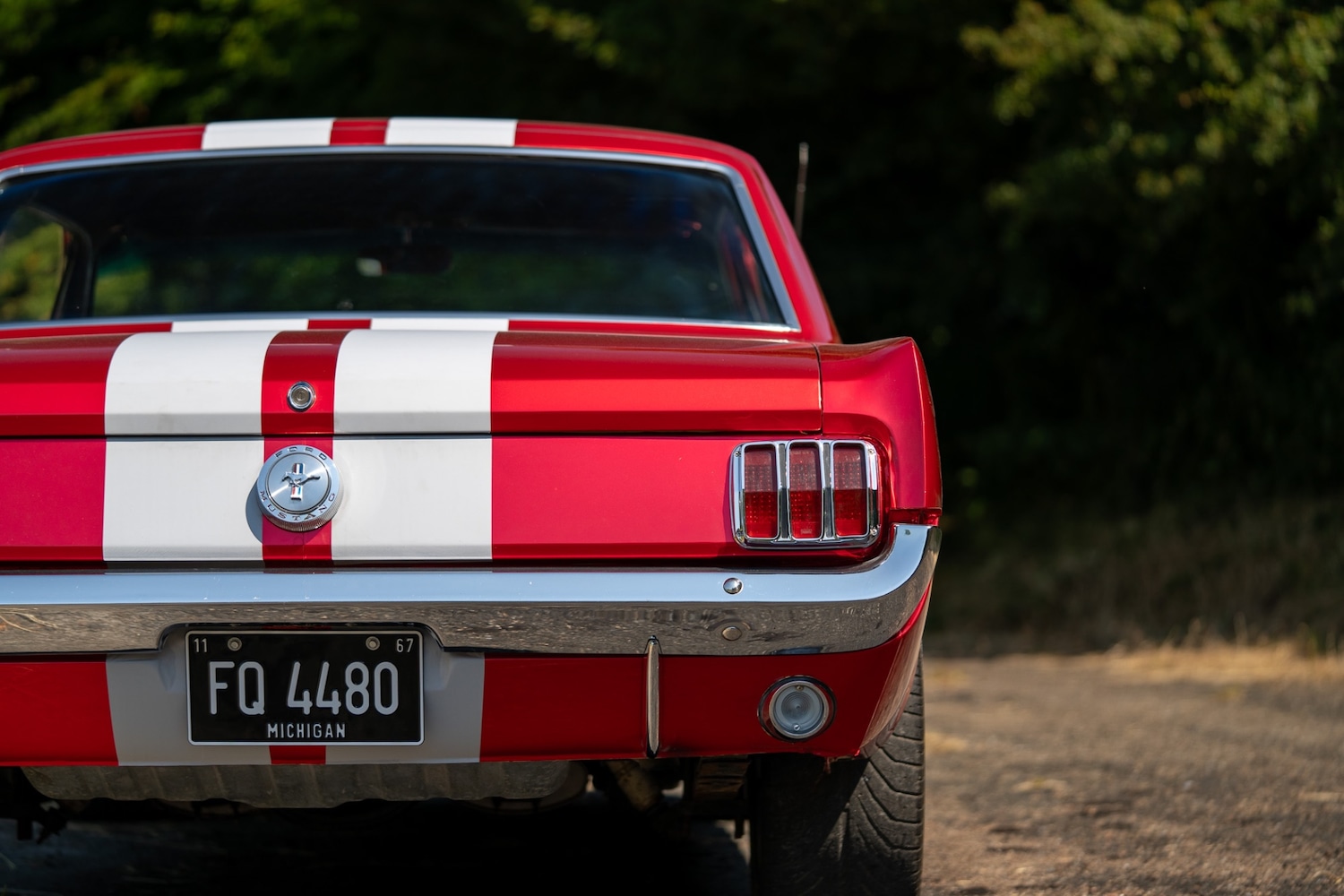Used Ford Mustang 1966 for sale - 77026220: Photo 43