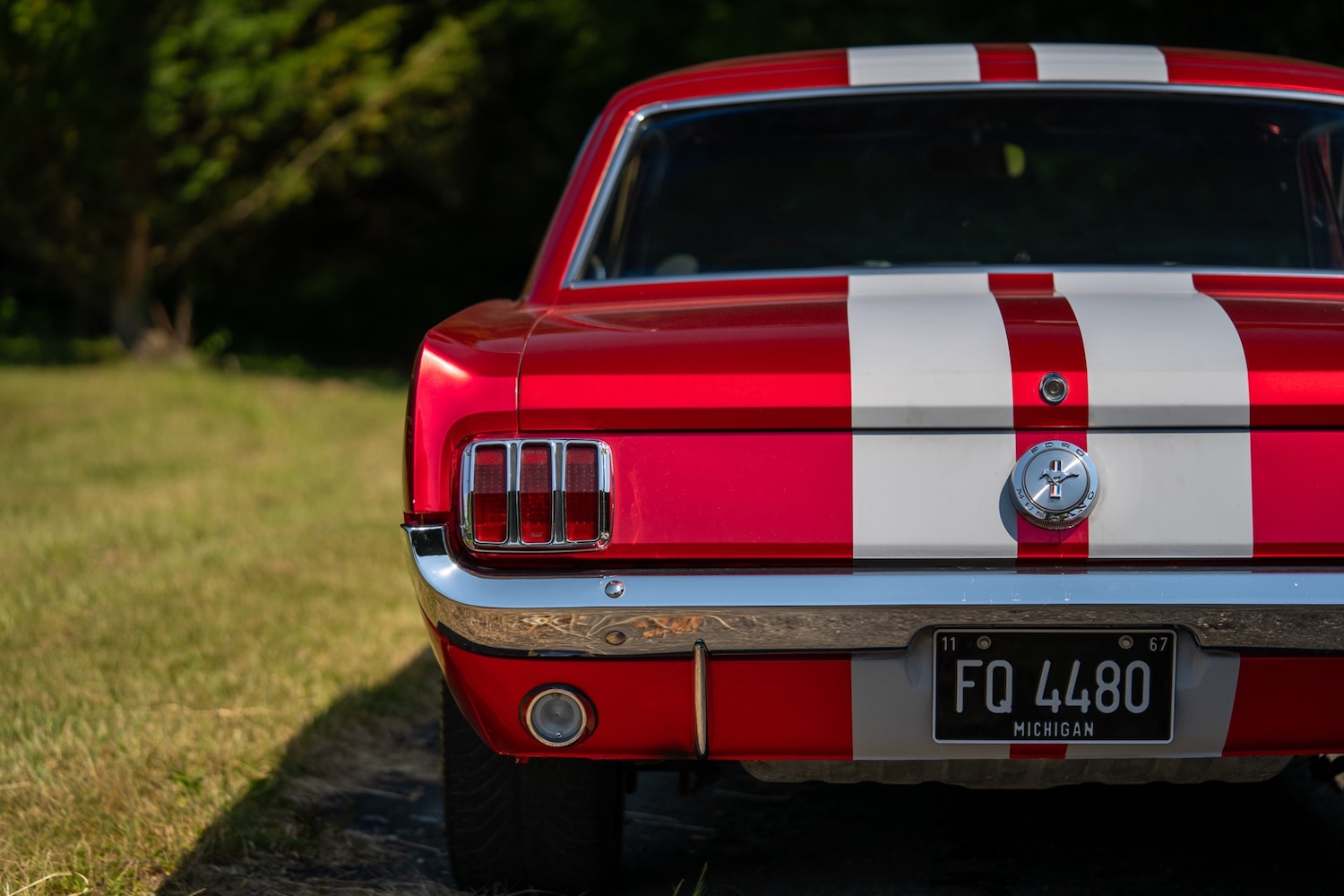 Used Ford Mustang 1966 for sale - 77026220: Photo 44