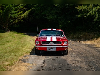 Used Ford Mustang 1966 for sale - 77026220: Photo