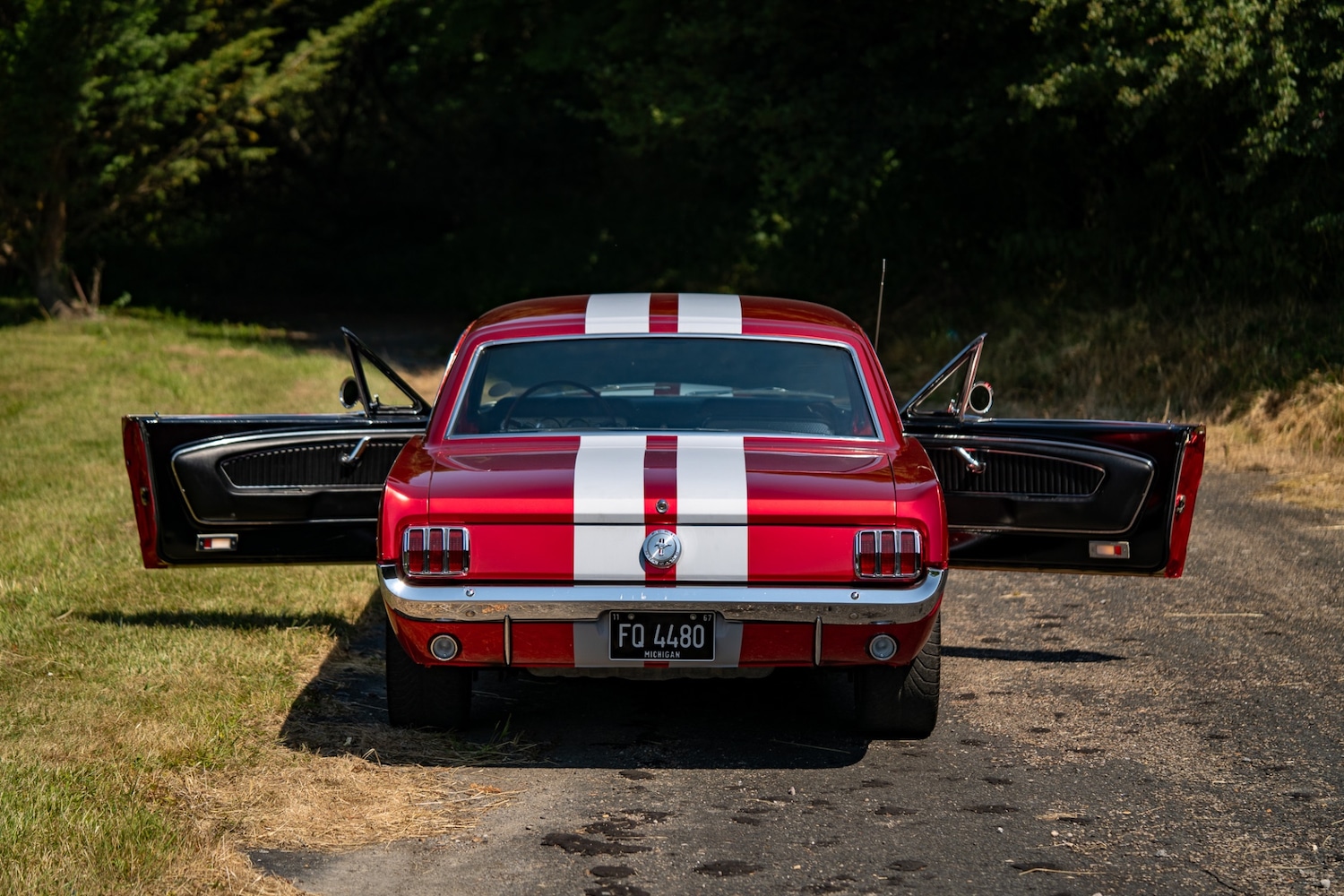 Used Ford Mustang 1966 for sale - 77026220: Photo 56