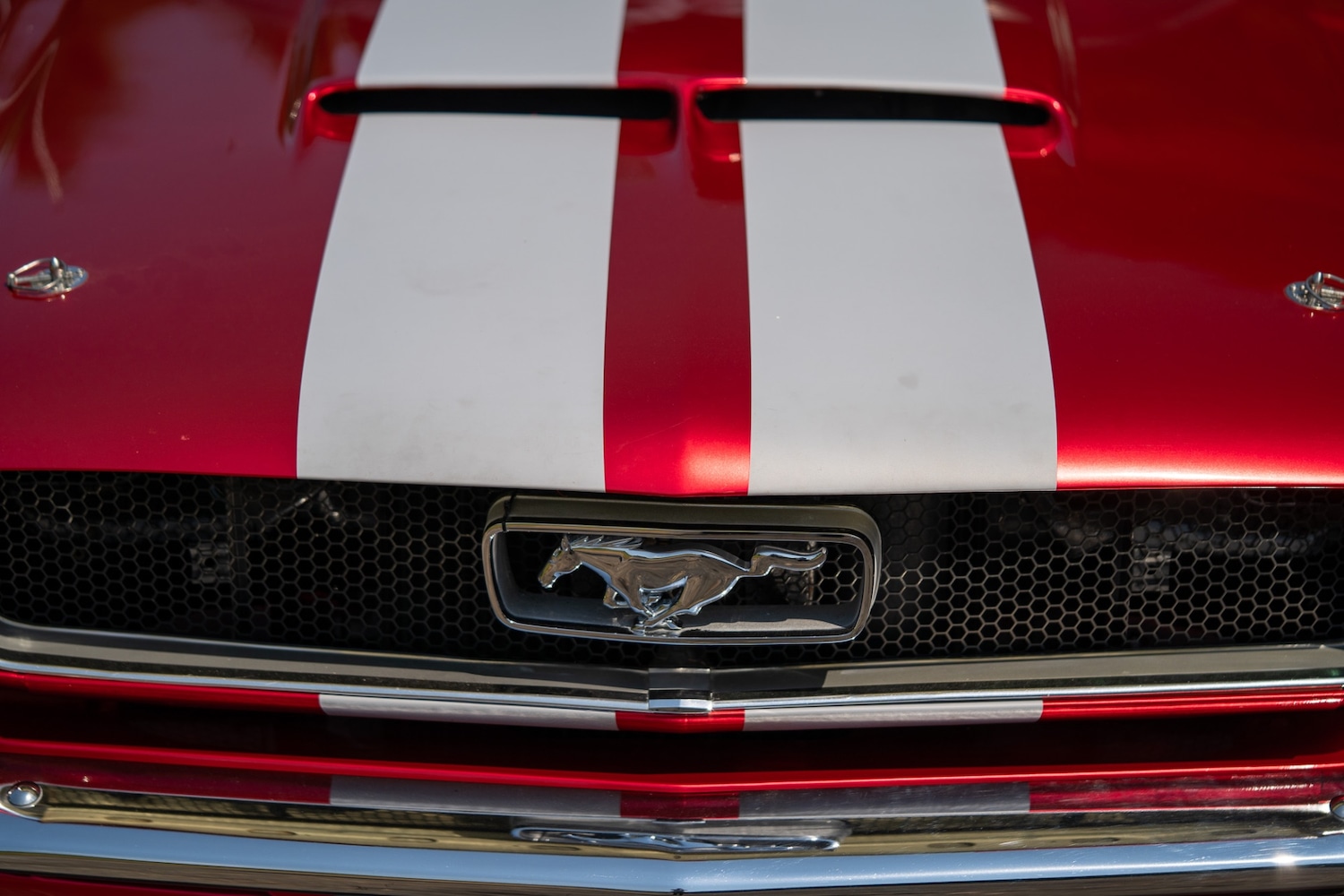 Used Ford Mustang 1966 for sale - 77026220: Photo 6