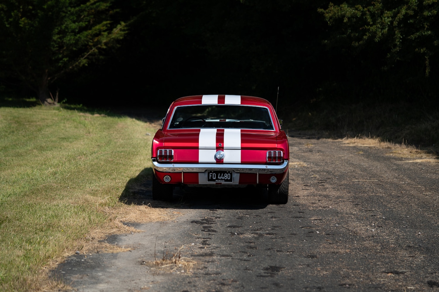Used Ford Mustang 1966 for sale - 77026220: Photo 8