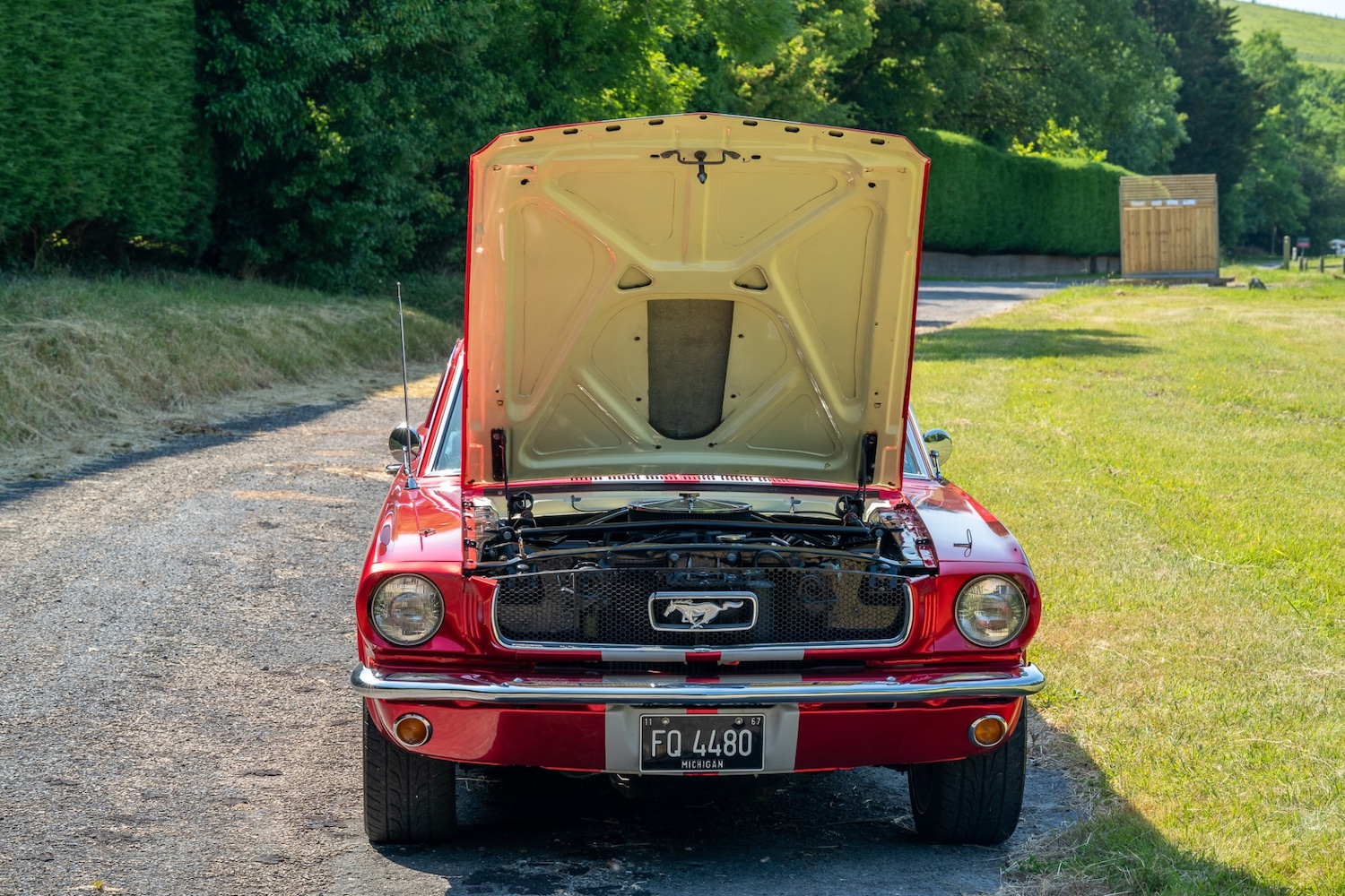 Used Ford Mustang 1966 for sale - 77026220: Photo 82