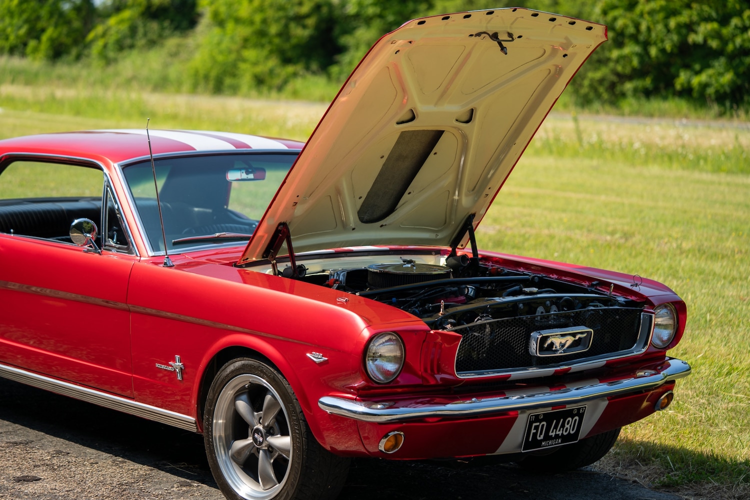 Used Ford Mustang 1966 for sale - 77026220: Photo 83