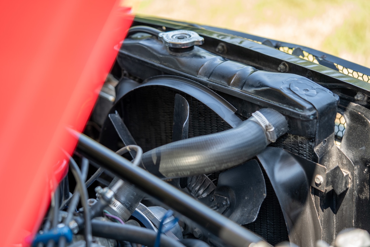 Used Ford Mustang 1966 for sale - 77026220: Photo 85