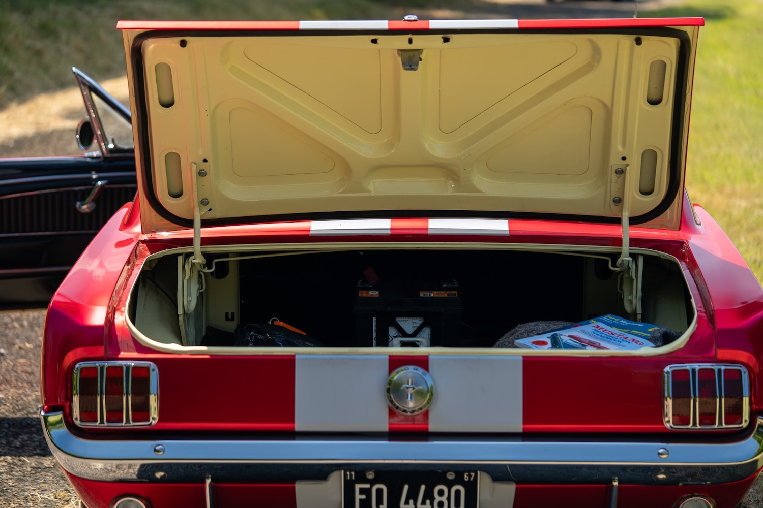 Used Ford Mustang 1966 for sale - 77026220: Photo 89