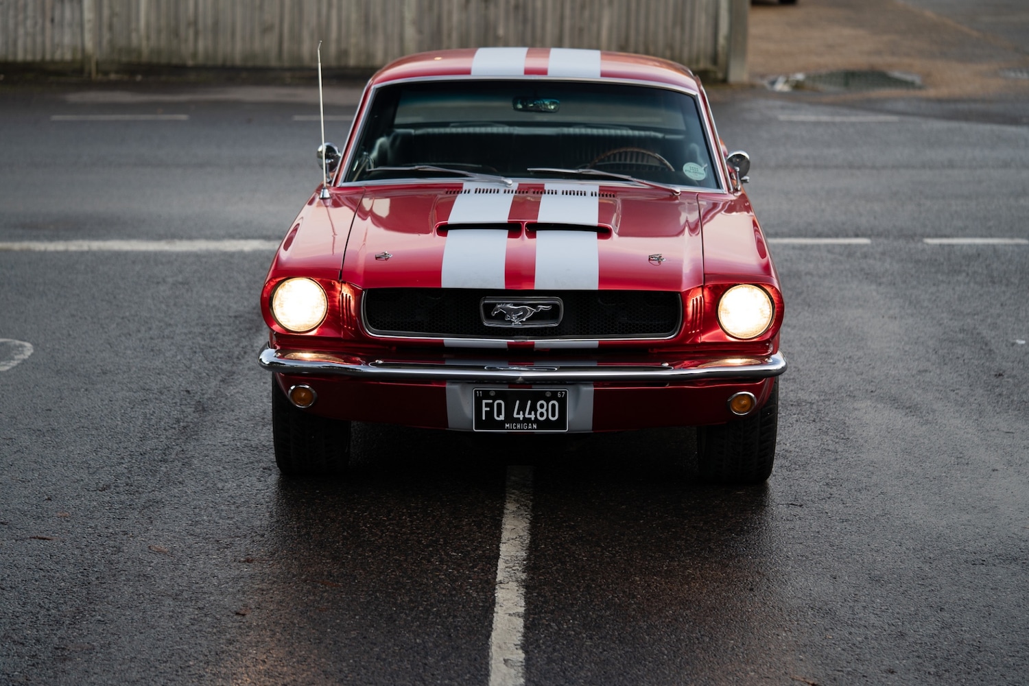 Used Ford Mustang 1966 for sale - 77026220: Photo 94