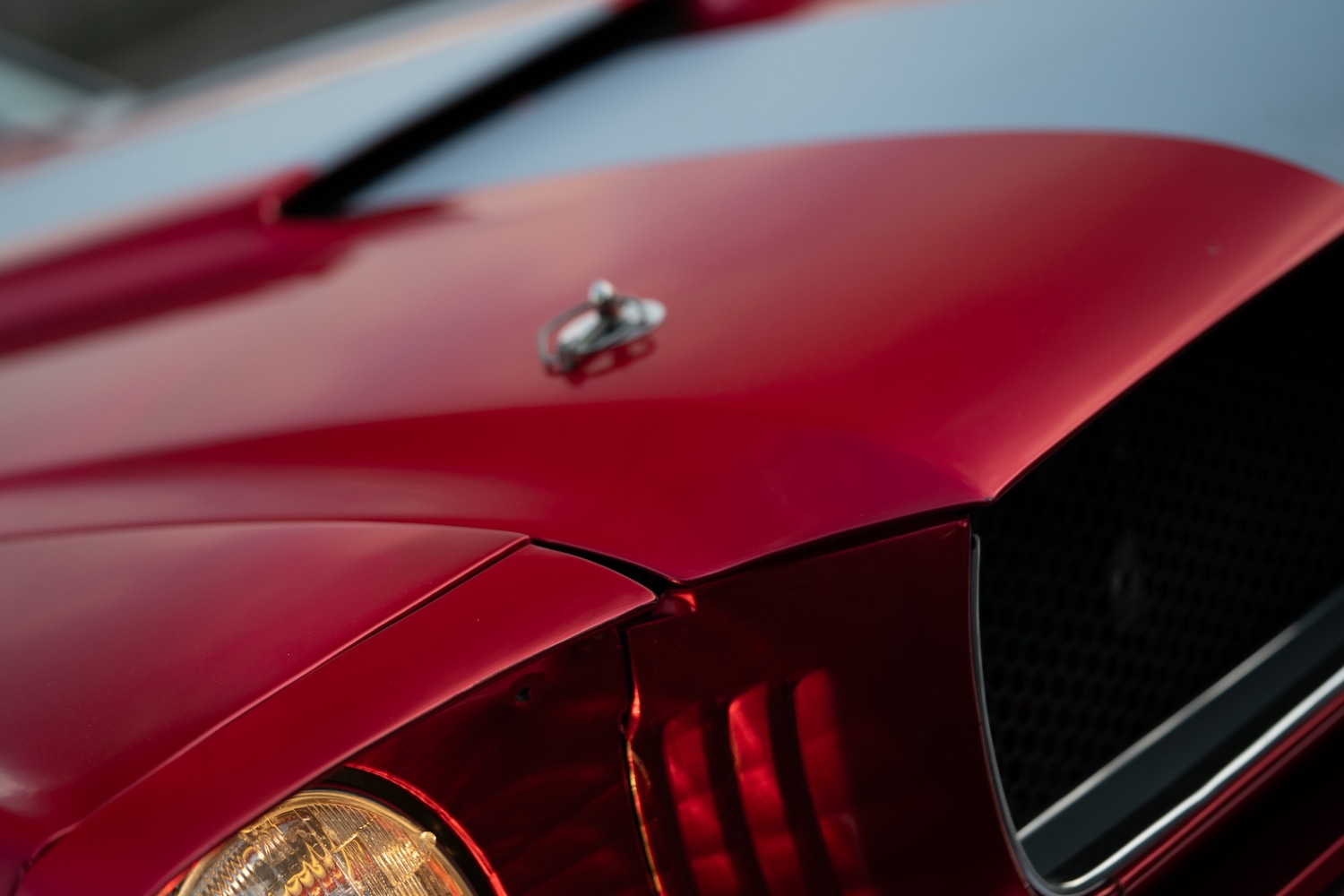 Used Ford Mustang 1966 for sale - 77026220: Photo 96