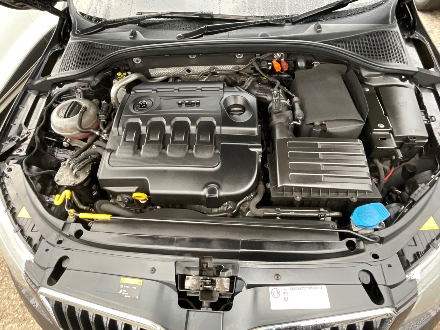 Used Skoda Octavia 2014 for sale - 76231384: Photo 32