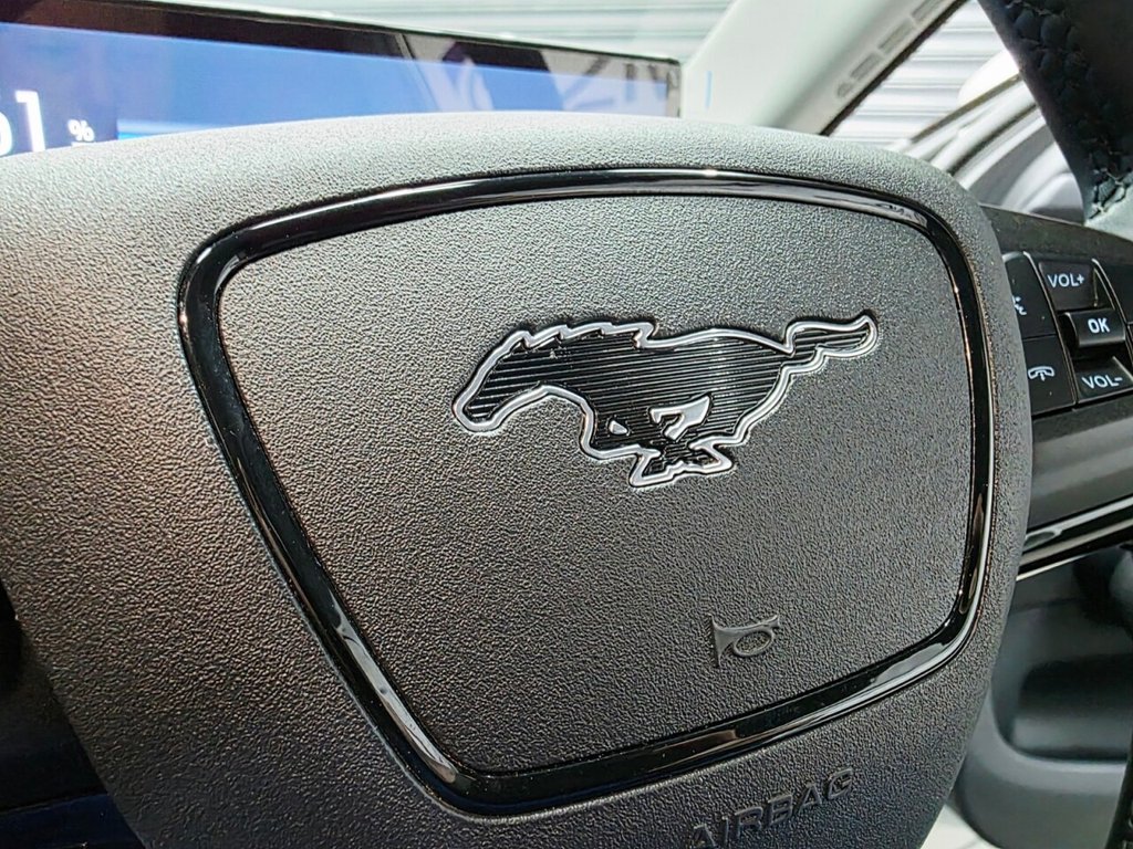 Used Ford Mustang Mach-E 2022 for sale - 77110596: Photo 40