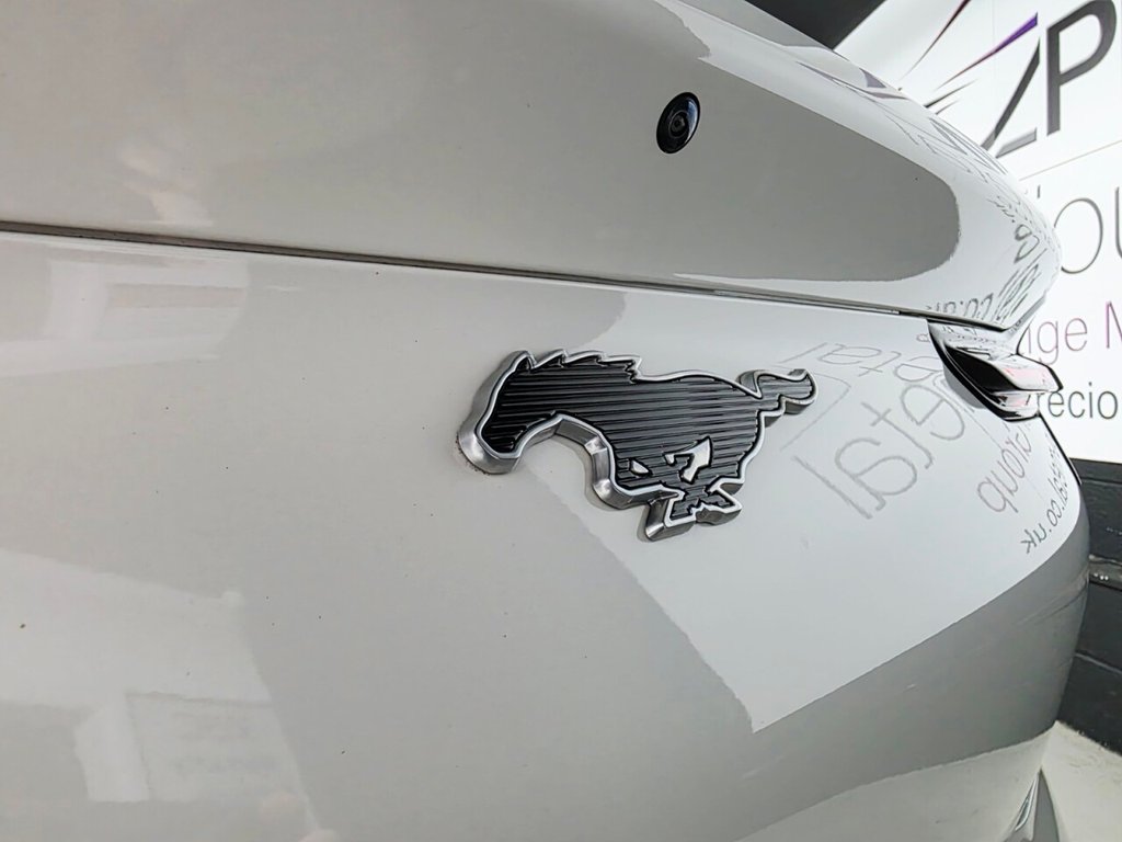 Used Ford Mustang Mach-E 2022 for sale - 77110596: Photo 48