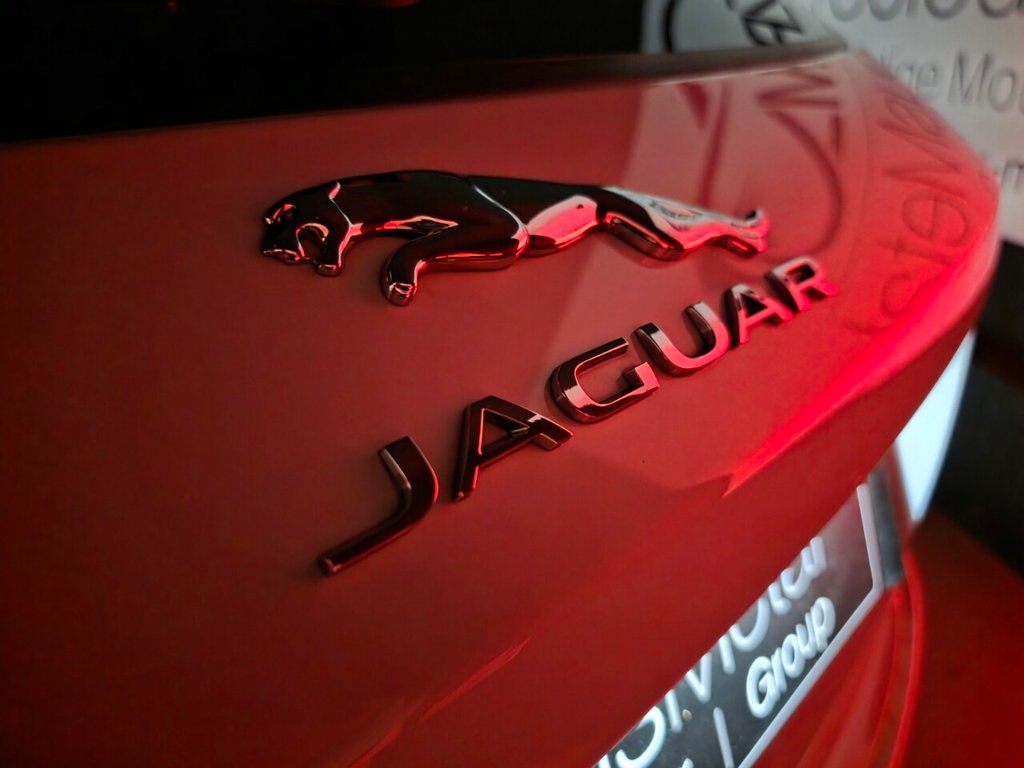 Used Jaguar F-Pace 2019 for sale - 77110491: Photo 8