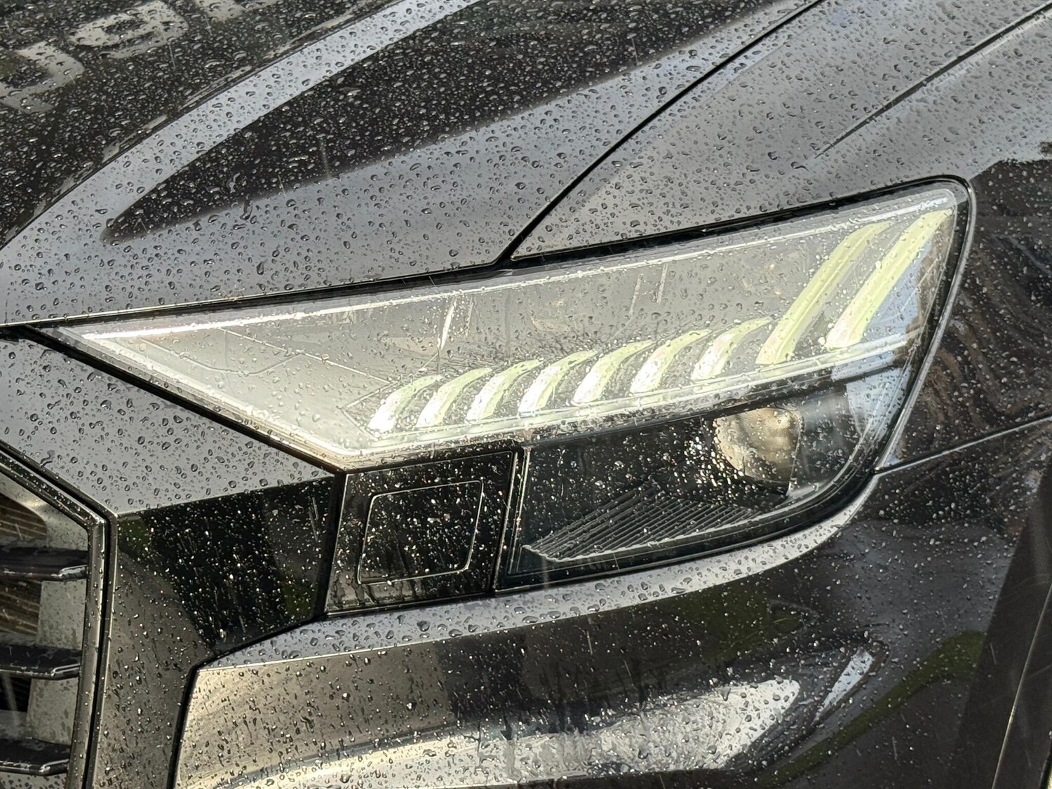 Used Audi Q8 for sale - 77646703: Photo 63